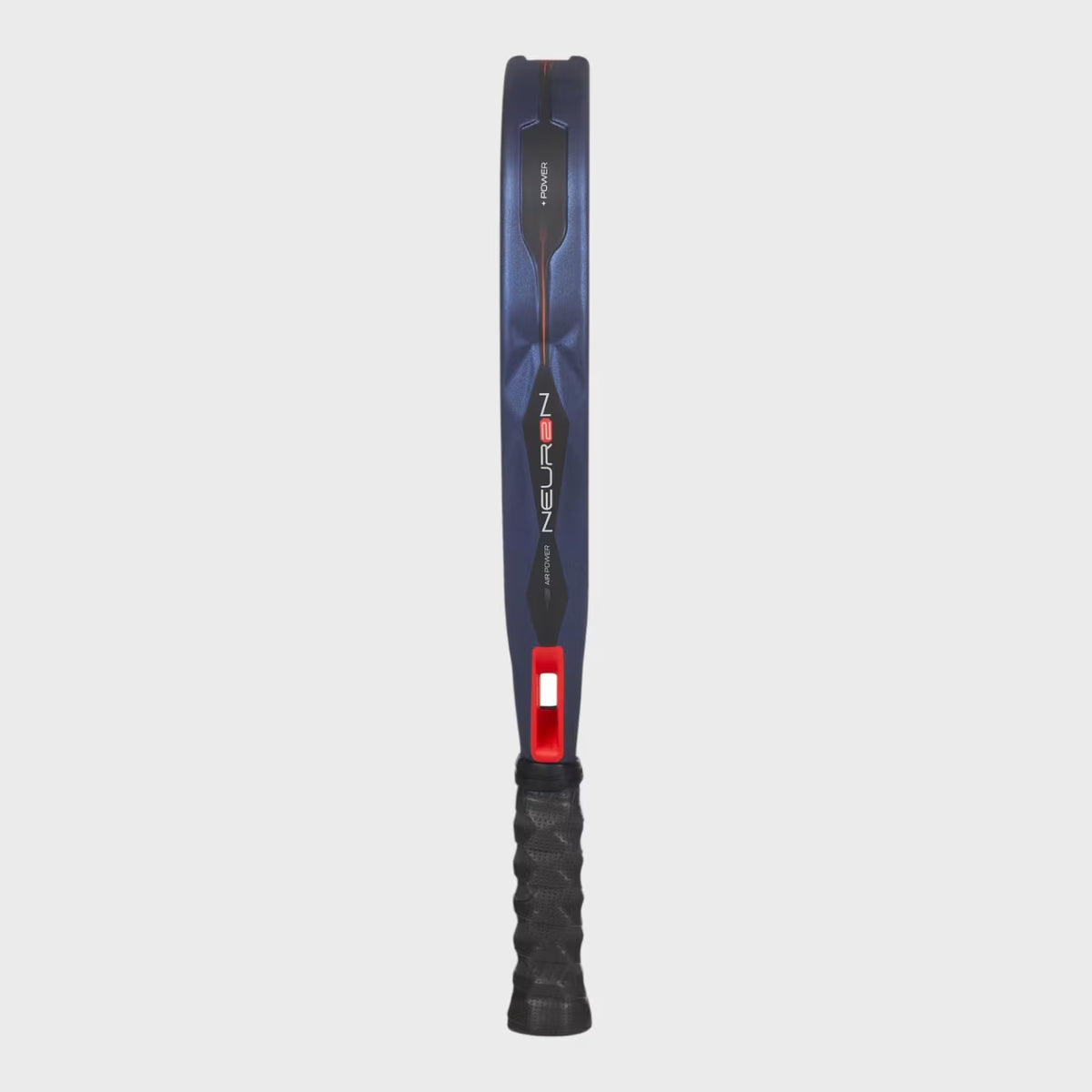 Neuron 02 27